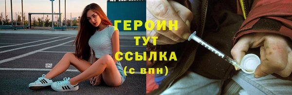 гашик Алексин