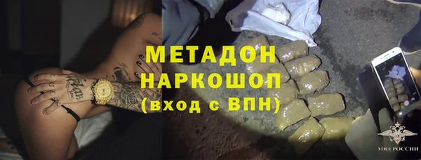 гашик Алексин