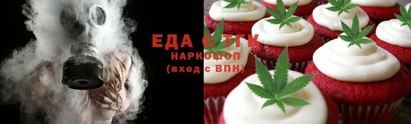 гашик Алексин