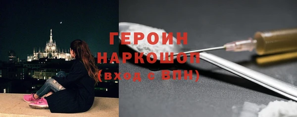 гашик Алексин