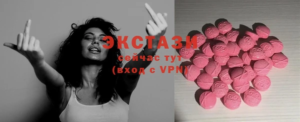 гашик Алексин