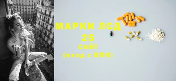 гашик Алексин
