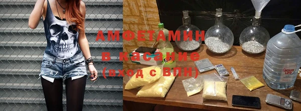 гашик Алексин
