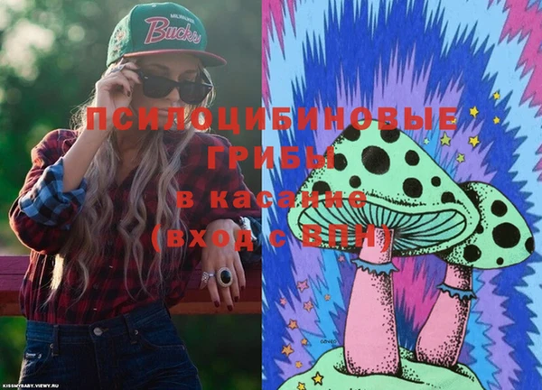 ПСИЛОЦИБИНОВЫЕ ГРИБЫ Алексеевка
