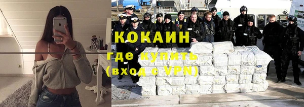 гашик Алексин