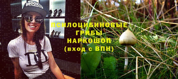 герыч Алзамай