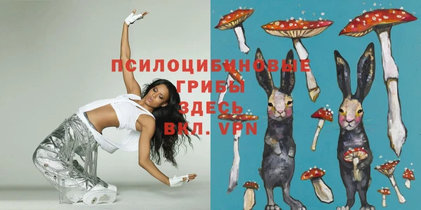 ПСИЛОЦИБИНОВЫЕ ГРИБЫ Алексеевка